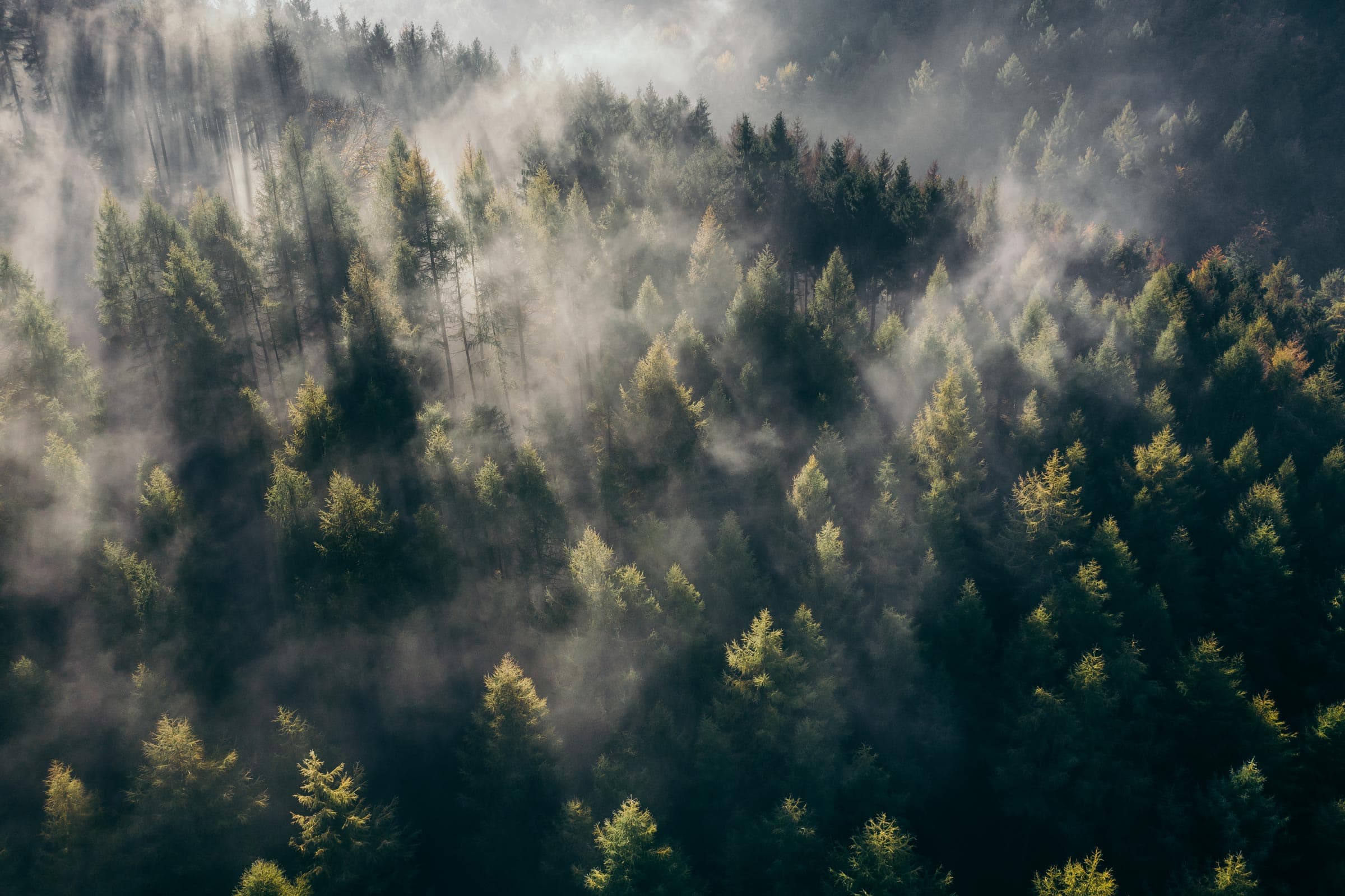 Sustainability background